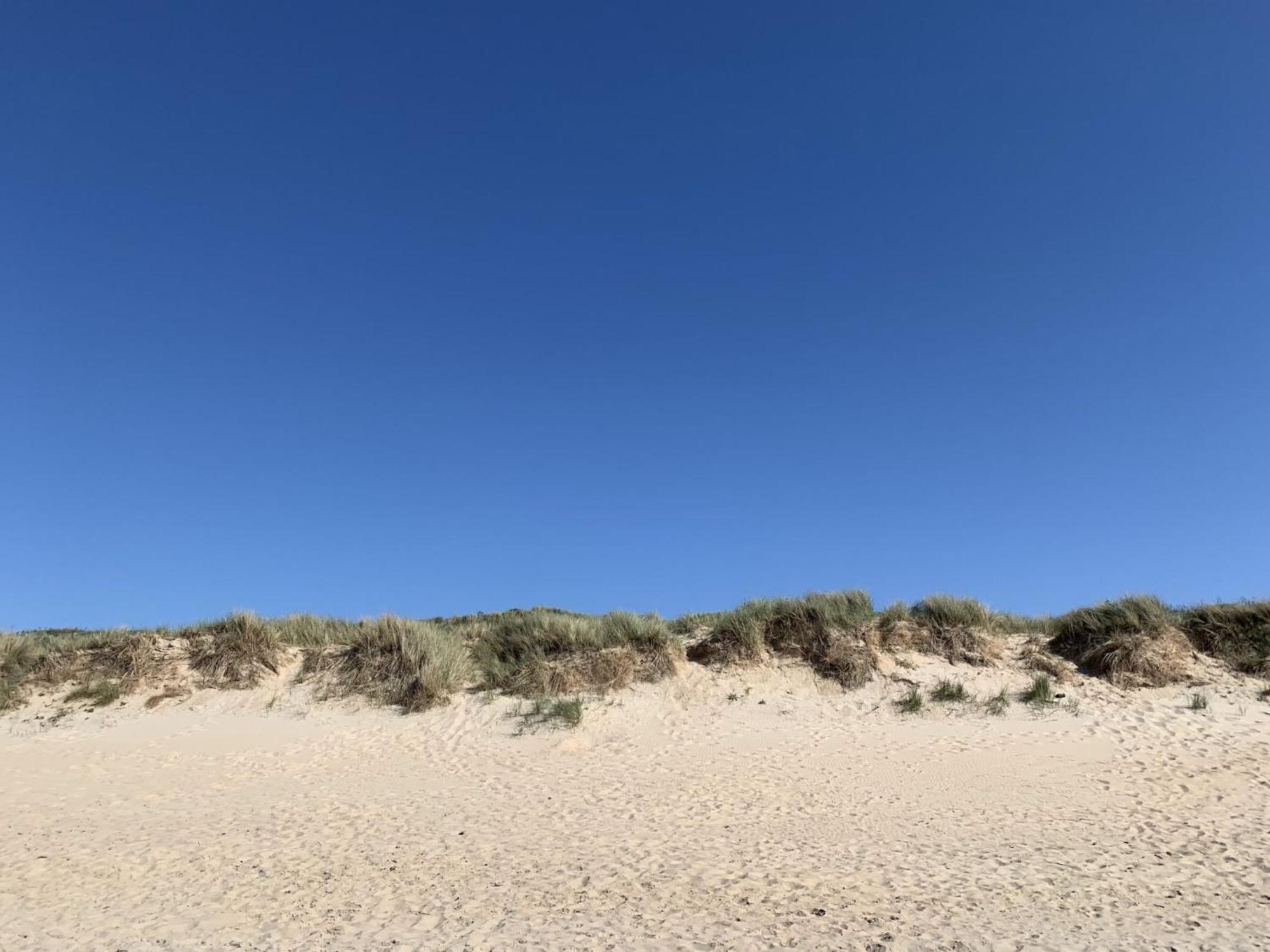 Studio Beach House By Interhome De Haan Eksteriør billede