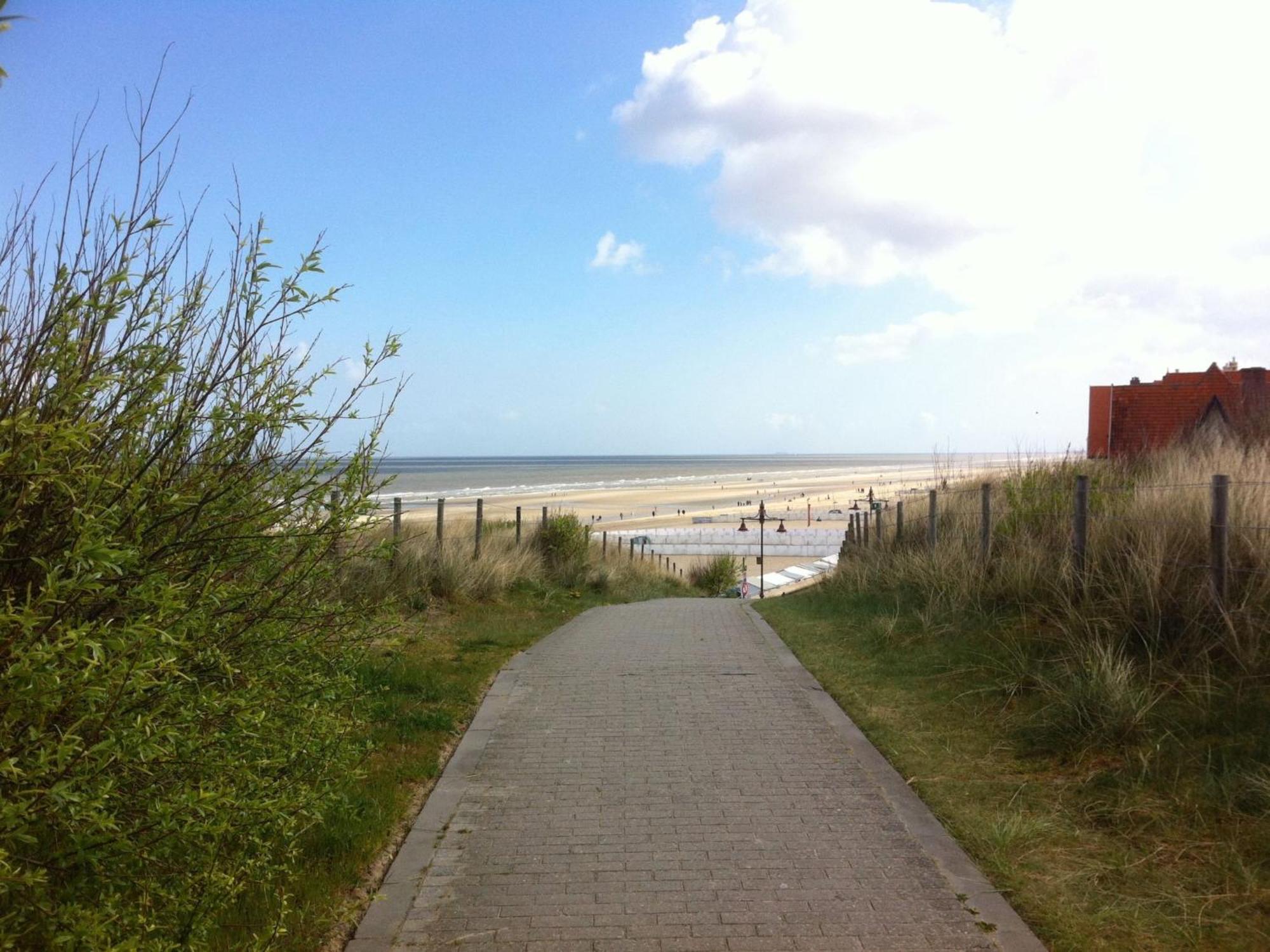 Studio Beach House By Interhome De Haan Eksteriør billede